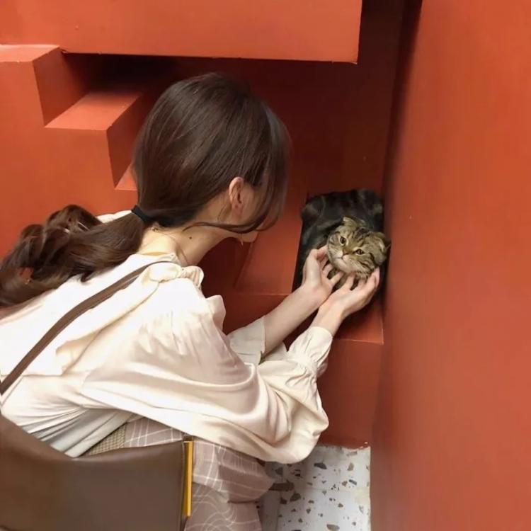 濑田宗次郎（身份：十刃最强、“天剑”、微笑的修罗） - 音乐MV高清在线观看 - 云端影视